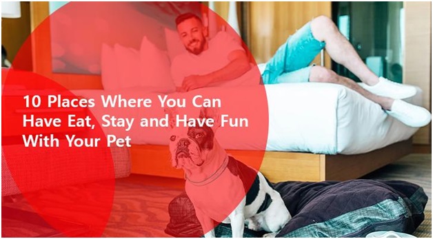 10 Places Where You Can Have Eat, Stay and Have Fun With Your Pet